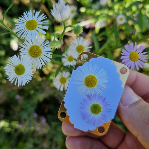 Mini Flowerpress [Free Today]