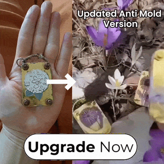 Upgrade To Mold-Free And Beautifully Pressed Flowers