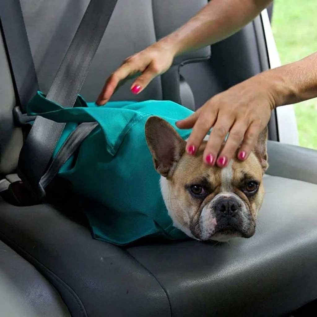 Dog Carrier Pouch [Free Today]